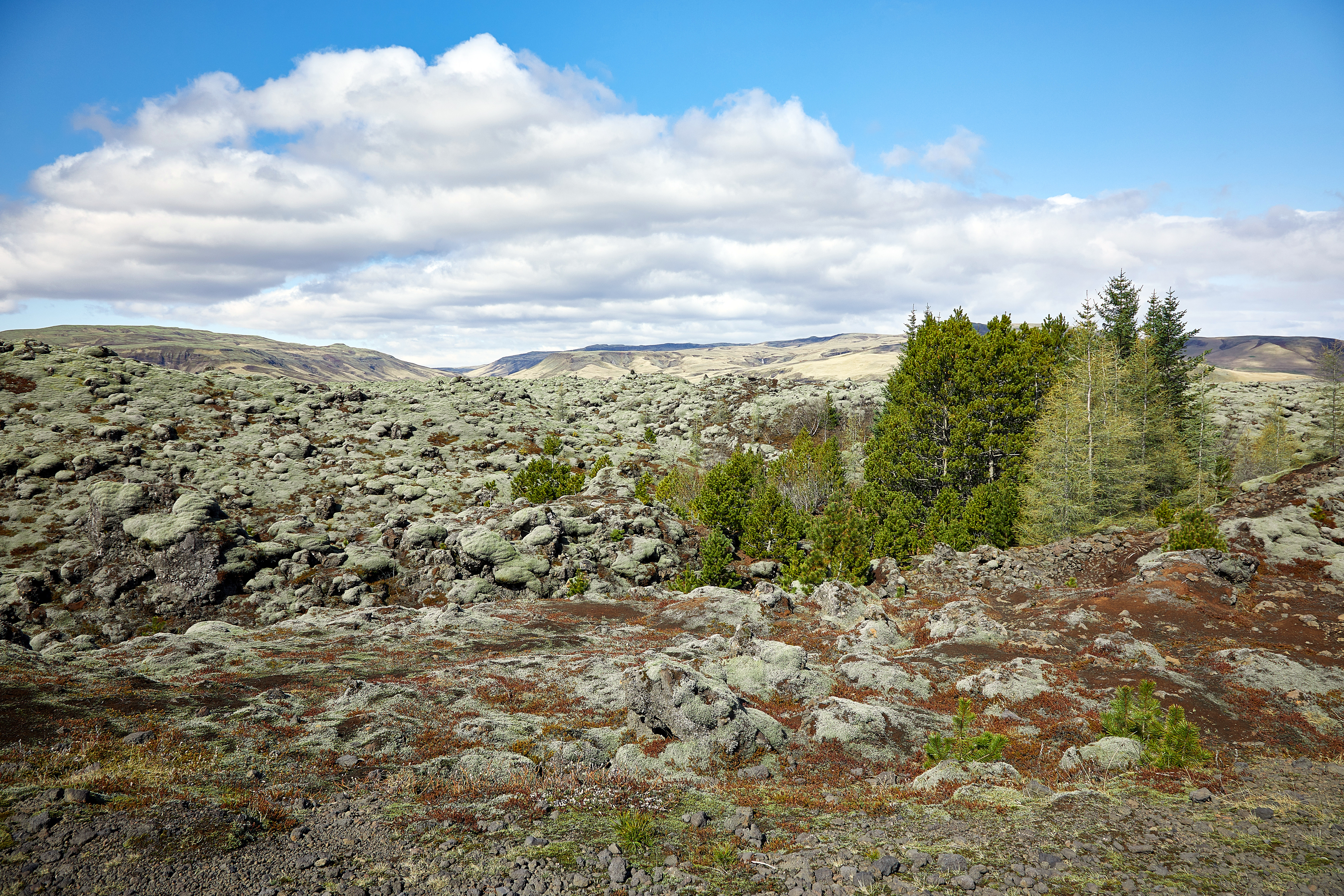 20190504 Lava Feld 003